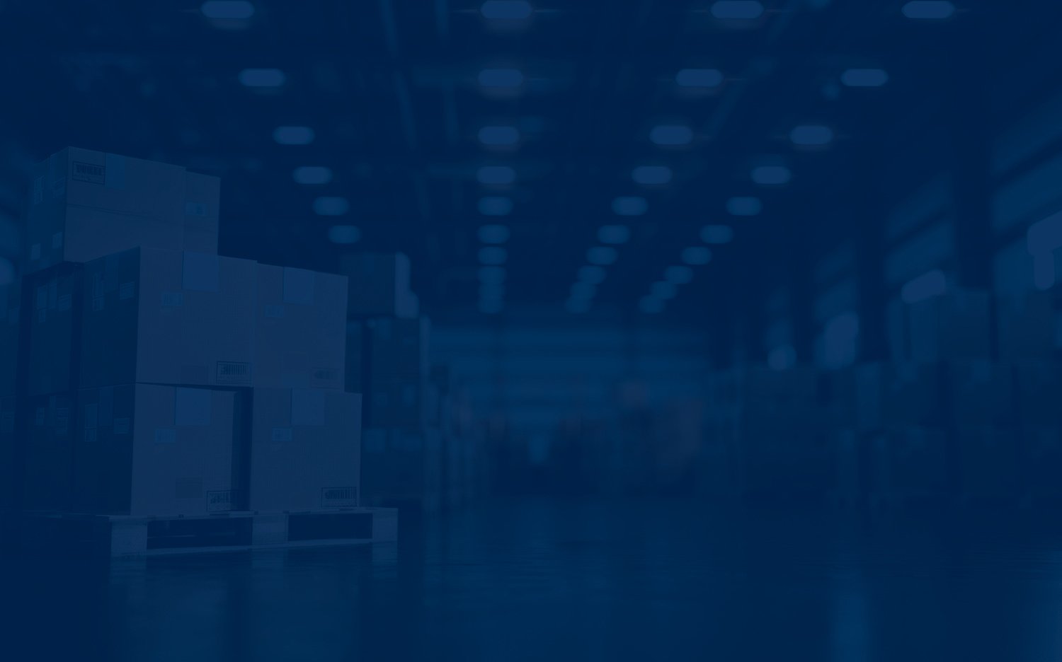 A warehouse filled with stacks of cardboard boxes on wooden pallets, realistic style, high detail, soft lighting with blue overlay